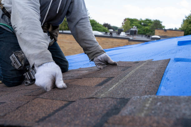 Best Roof Gutter Cleaning  in Warrenton, GA