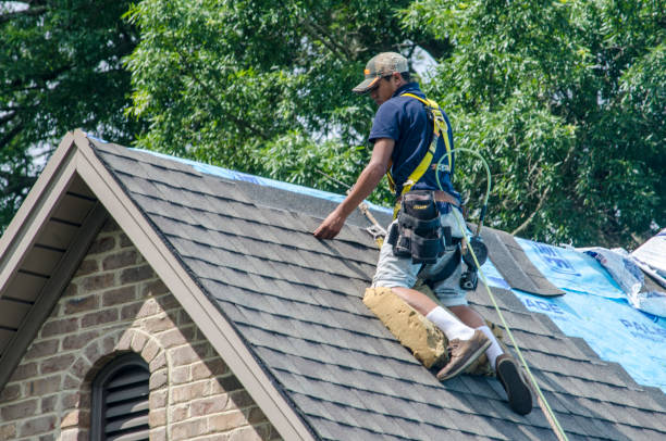 Best Affordable Roofing Company  in Warrenton, GA